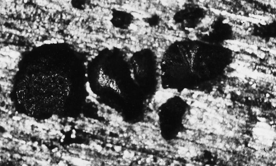 More trapped gas with a typical grouping of non-connected bubbles, and some probable dross inclusions at the bottom of one bubble (10X).