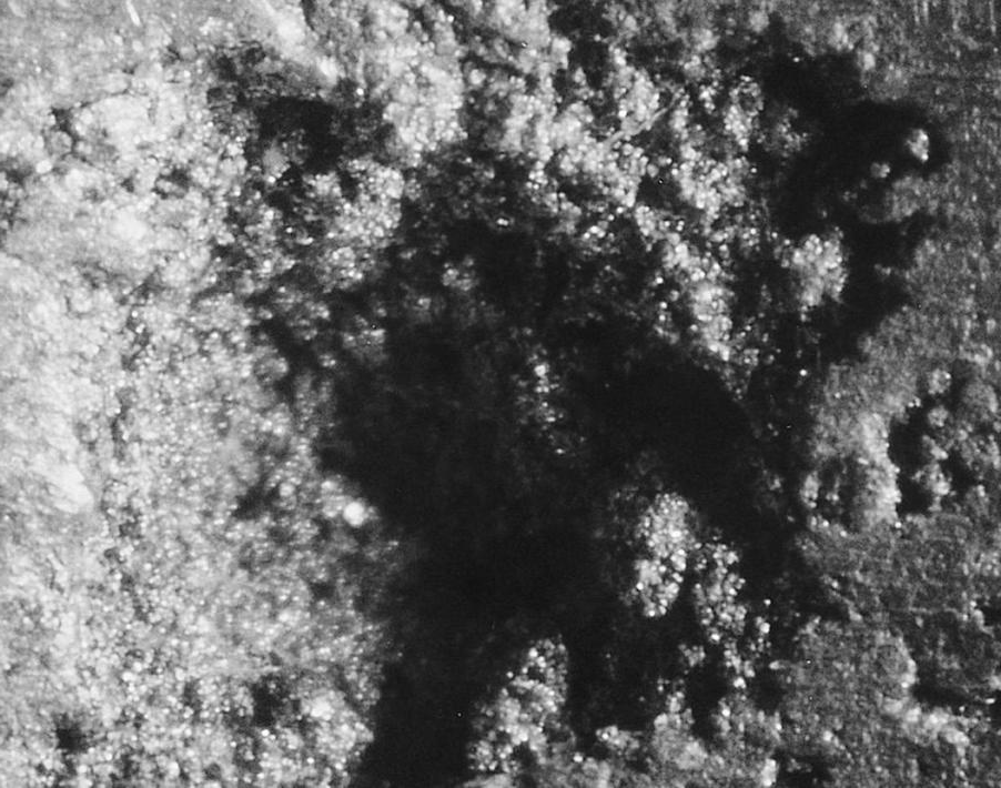 This photograph shows the rough dendritic structure on the wall of most shrink porosity (20X).