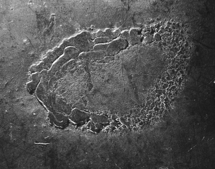Heat sink where some eutectic material oozed through the skin to par-tially fill the sunken area (5X).