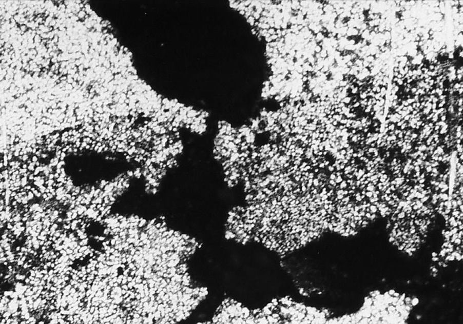Typical shrink porosity in a die casting. The dendritic structure along the edge of the porosity is barely visible (50X).
